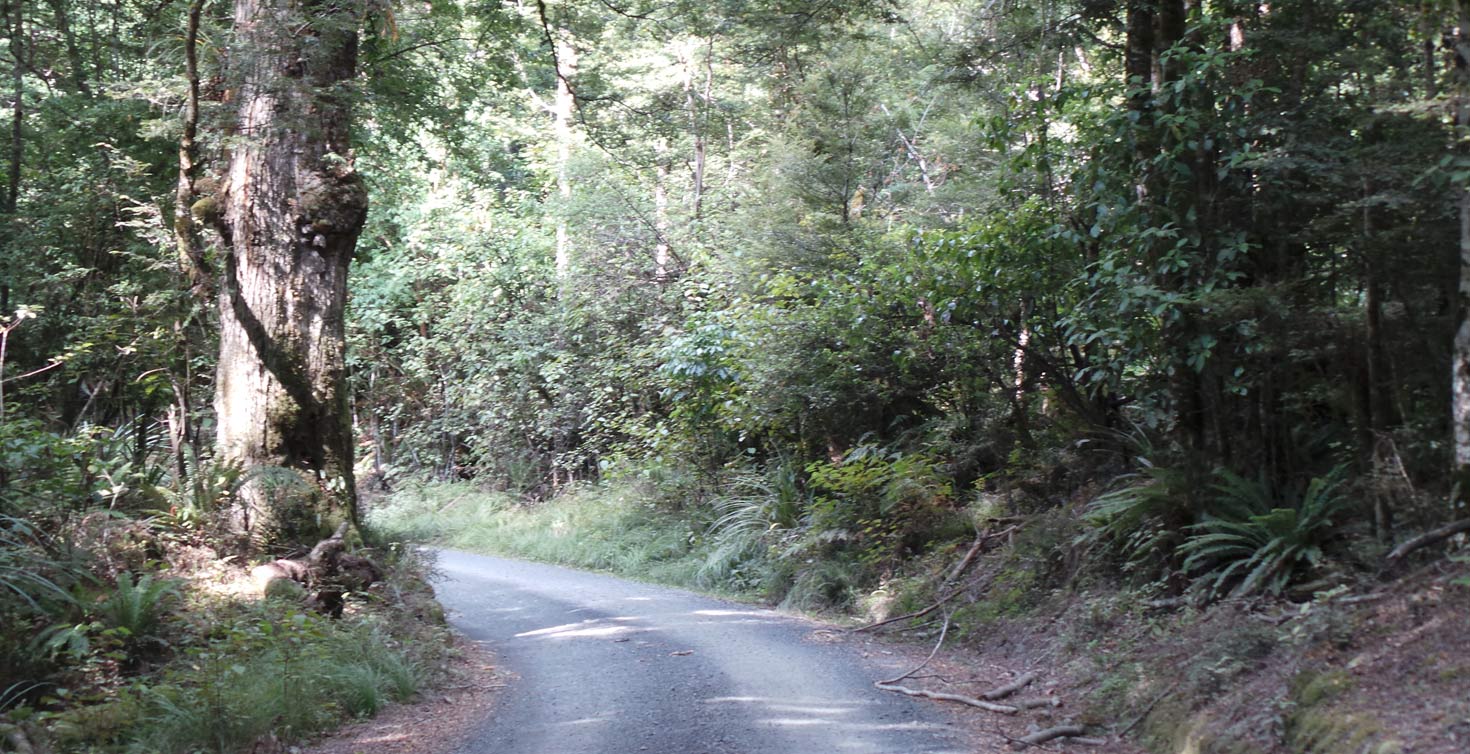 Sika Lodge